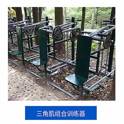 三角肌组合训练器