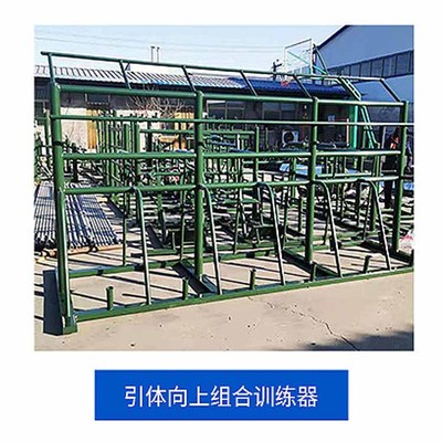 引体向上组合训练器