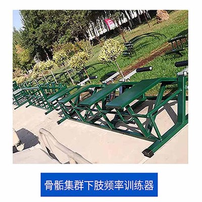 骨骼集群下肢频率训练器
